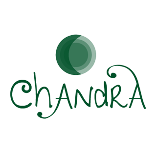 Logo Design Contest for Chandra Jones Group | Hatchwise
